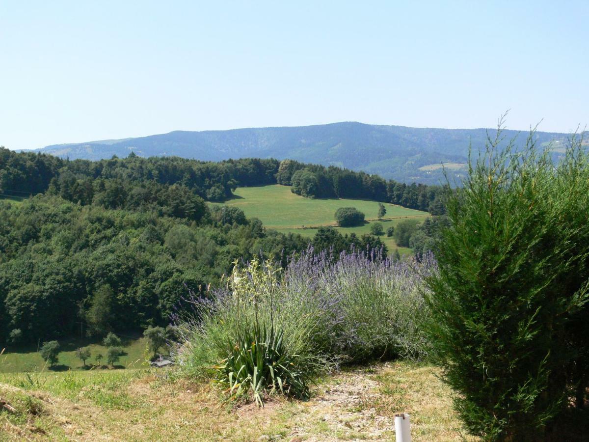 Gite La Sapiniere Labaroche Luaran gambar